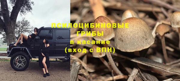 a pvp Алексин
