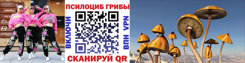Псилоцибиновые грибы GOLDEN TEACHER  даркнет сайт  Сусуман 